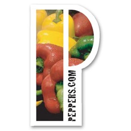 USA Made Premium UV Window Micro-Suction Cling Decal (2"x3.5") Letter P Shape