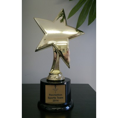 Star Award Trophy