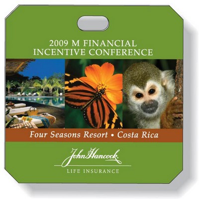 Custom Shaped .020 White Plastic Items (16 Sq/In), Full Color & Varnish