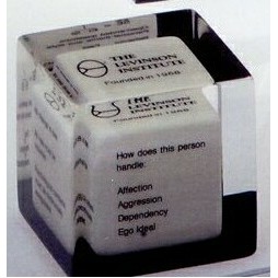 Cube Lucite Classic Shape Embedment (3 1/2"x3 1/2"x3 1/2")