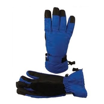Touchscreen Ski Gloves