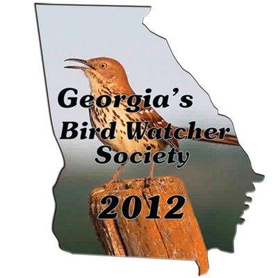 Georgia State Hand Fan Without Stick