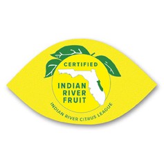 USA Made Premium UV Window Micro-Suction Cling Decal (1.75"x3") Lemon/Eye Shape