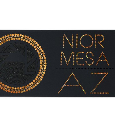 5" Badge Satin Ribbon - 50yd Roll - Sparkle