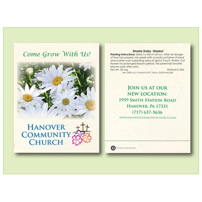 Shasta Daisy 'Alaska' Flower Seed Packet (3.25" x 4.5")