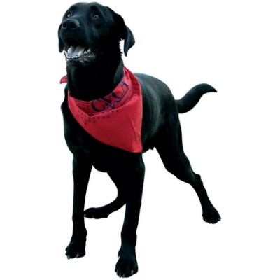 Medium Pet Triangle Bandana w/o Reflective Binding