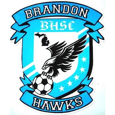 Custom Vinyl Decal *LOW MINIMUMS* Customized