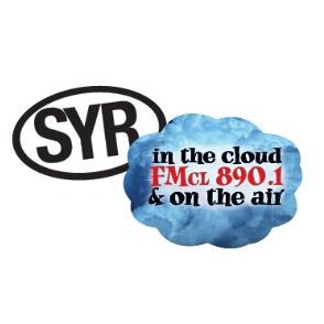 Die Cut Stik-Withit® Sticker (Small, Medium)