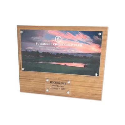 Arcadia Award (13"x16")