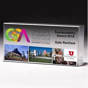 The Cube Award – 2 ½" x 5" x 1" - 2031S (Screen Print)