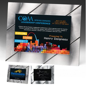 Laser Engraved Striped Visionary Plaque (8"x10"x3/8")