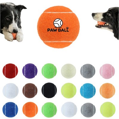 Pet Fetch Toy Tennis Ball