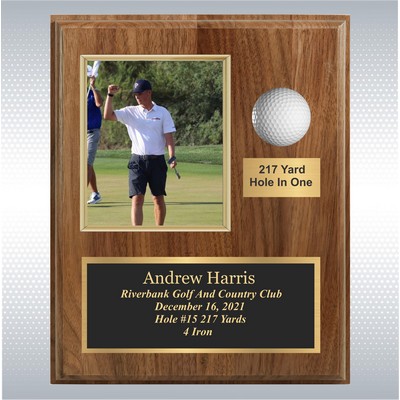 Hole In 1 Plaque